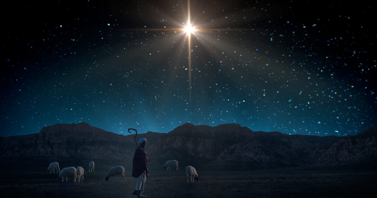 YEELE 12x8ft Nativity Christmas Scene Backdrop Purple Starry Sky in The Dessert Photography Background Xmas Party Decor Jesus Religious Belief Church Pictures Photobooth Props Digital Wallpaper YEELE 12x8ft Nativity Christmas Scene Backdrop Purple Starry Sky in The Dessert Photography Background Xmas Party Decor Jesus Religious Belief Church Pictures Photobooth Props Digital Wallpaper